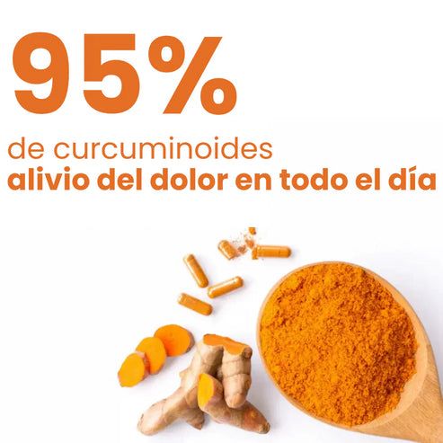Turmeric Curcumin 95%™ 120 Cápsulas